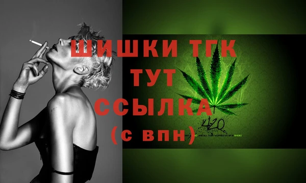 гидра Кулебаки