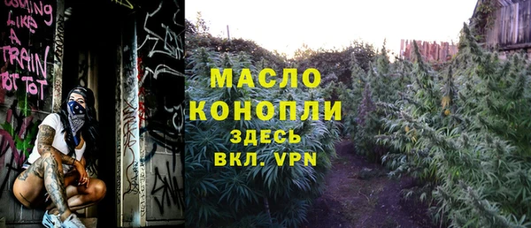 гидра Кулебаки