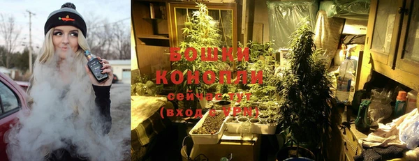 шишки Киренск
