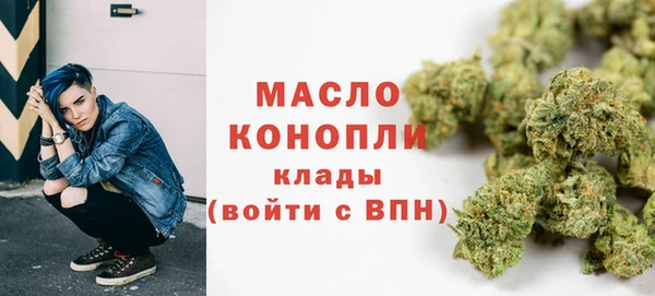 гидра Кулебаки