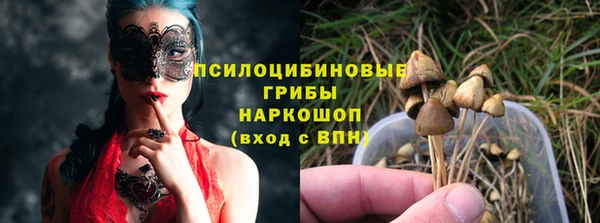a pvp Кукмор